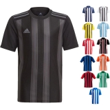 adidas Striped 21