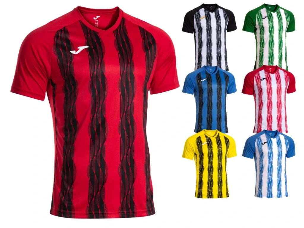 Joma Inter V
