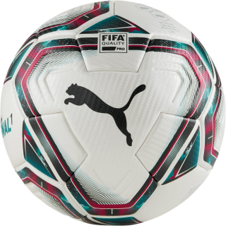 Puma teamFINAL 21.1